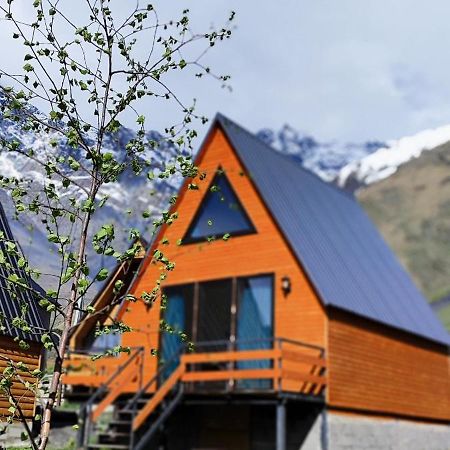 Kazbegi Compass Apartment Cameră foto
